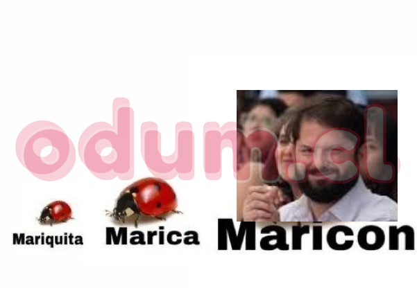 1000014693.png