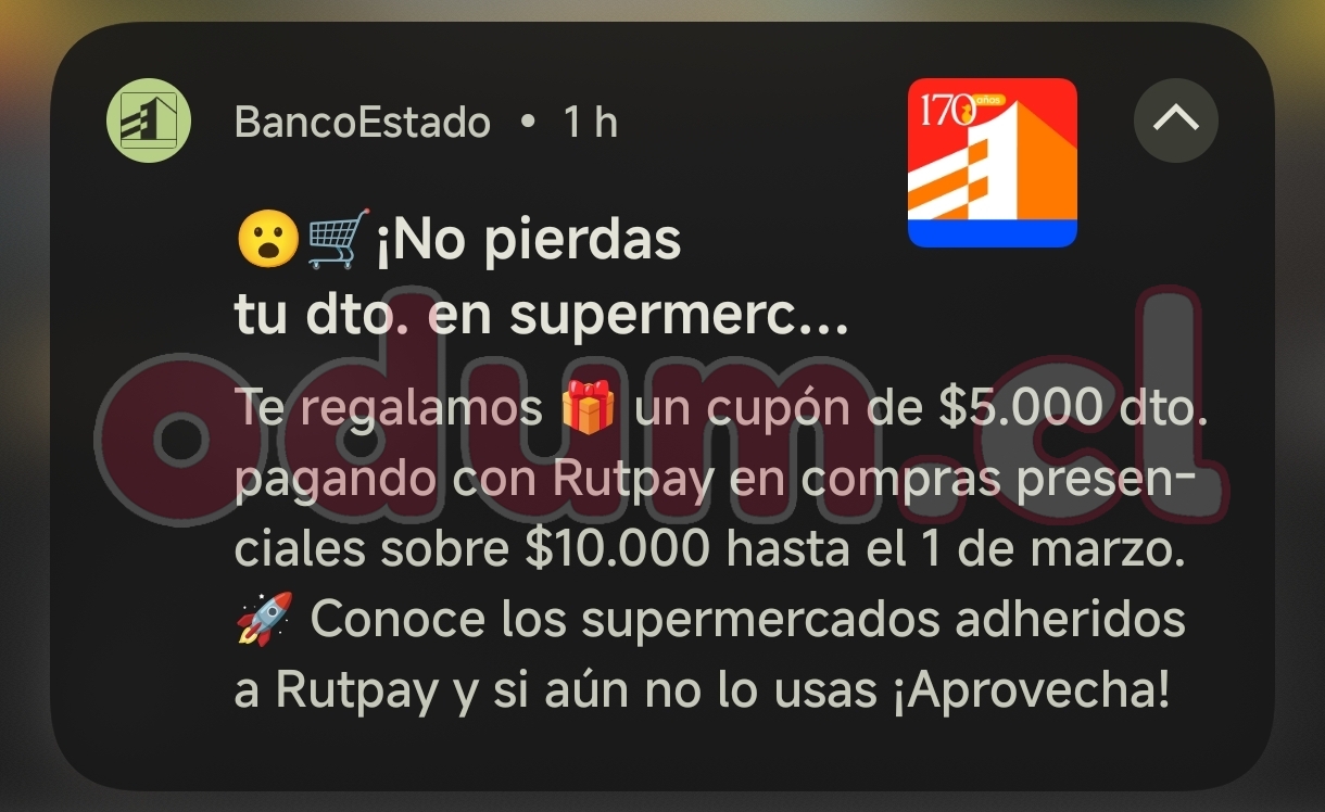 1000031733.jpg