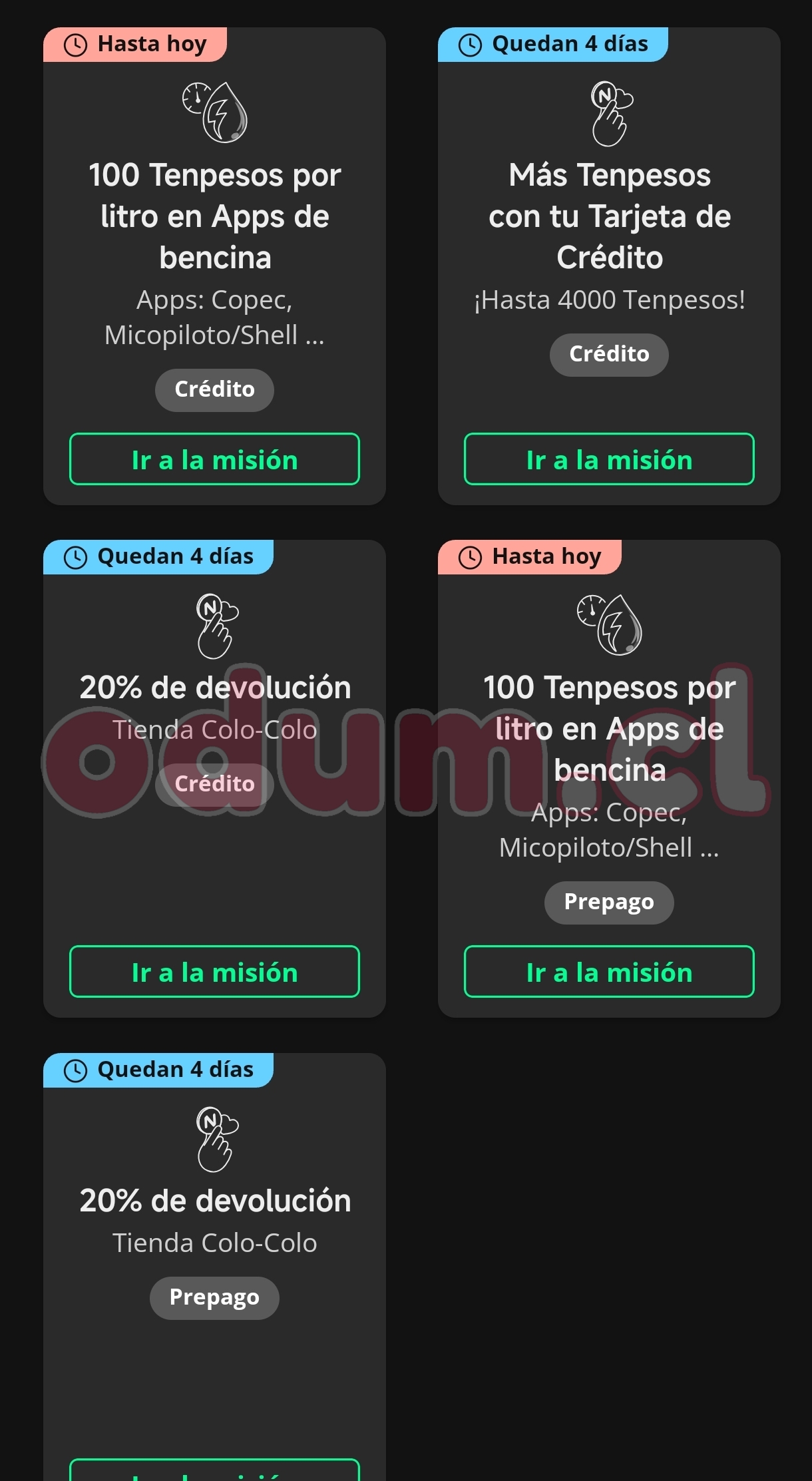 1000035252.jpg