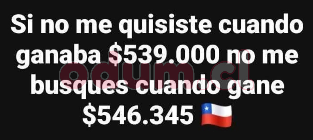 1000041303.jpg