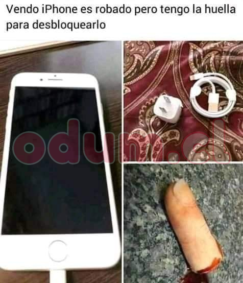 1000041315.png