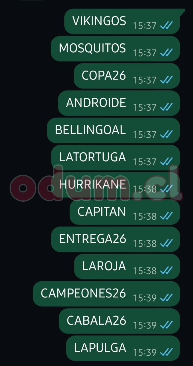 1000136921.jpg