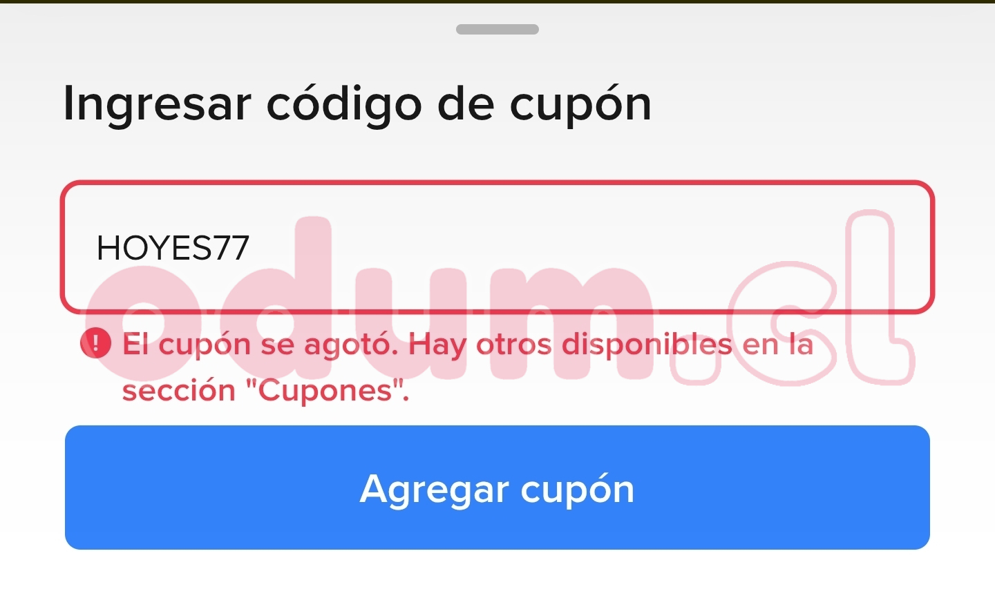 142563.jpg