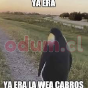 1759933728930.png