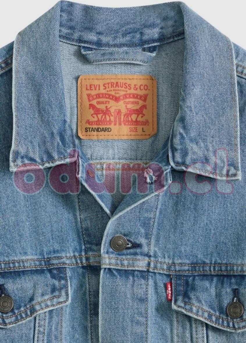 1775326365408.jpg