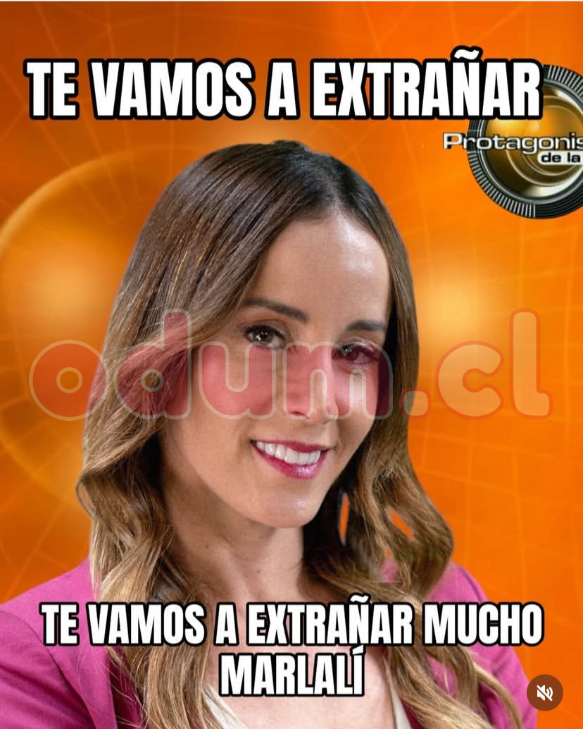 80889.jpg