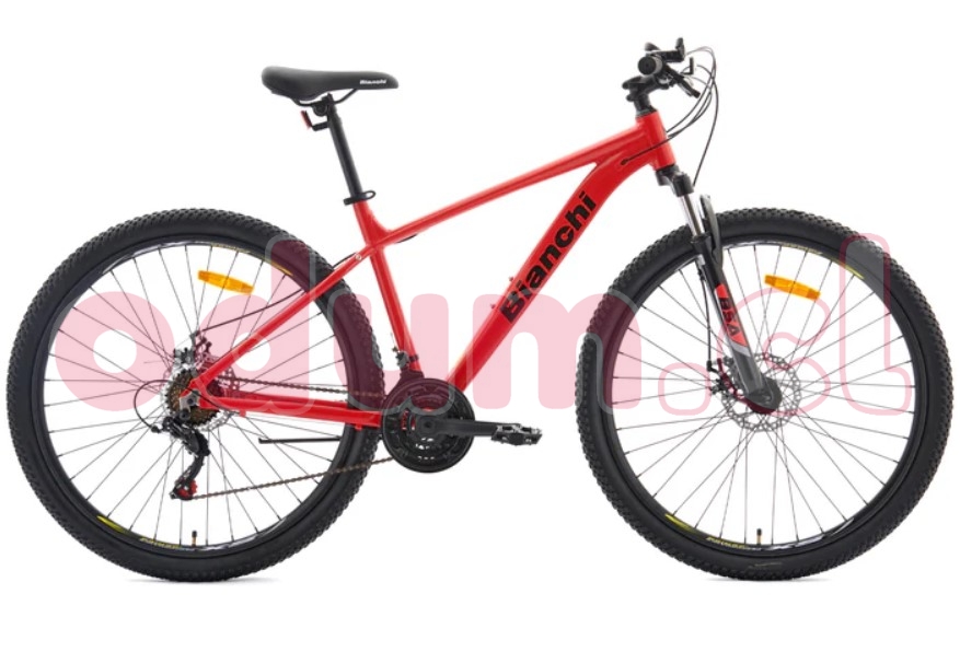 Captura de pantalla 2026-02-27 181821.jpg