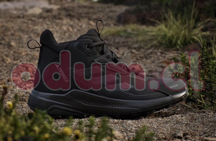 Captura de pantalla 2026-02-28 131542.jpg