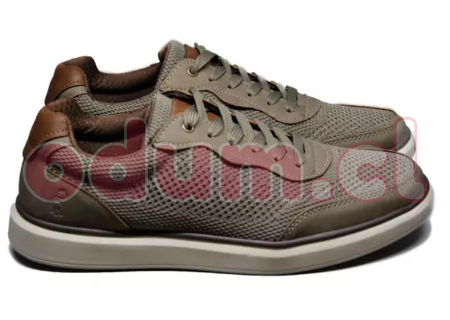 Captura de pantalla 2026-03-08 160332.jpg