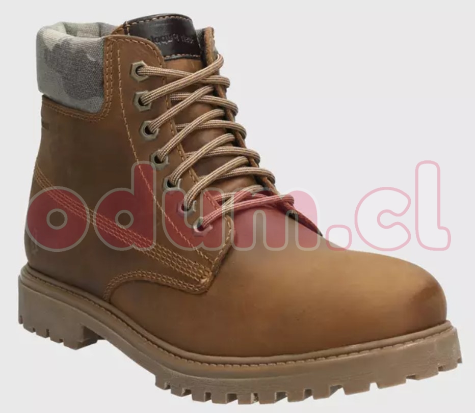 Captura de pantalla 2026-03-15 143400.jpg