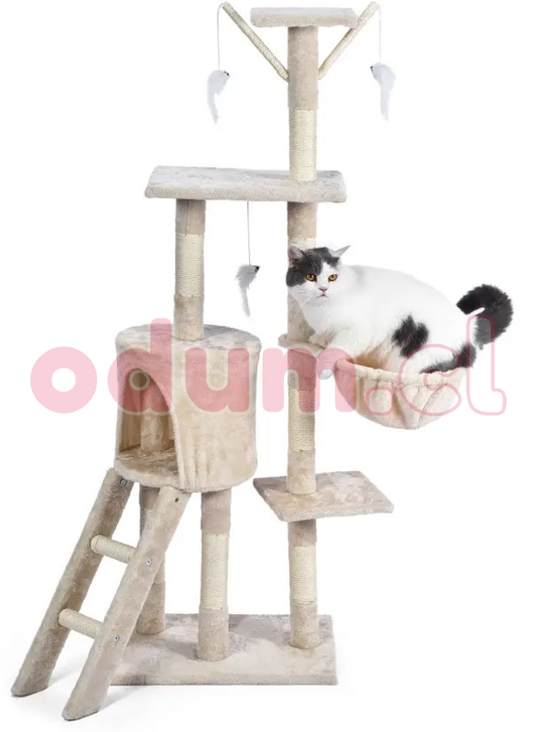 Captura de pantalla 2026-03-26 170755.jpg