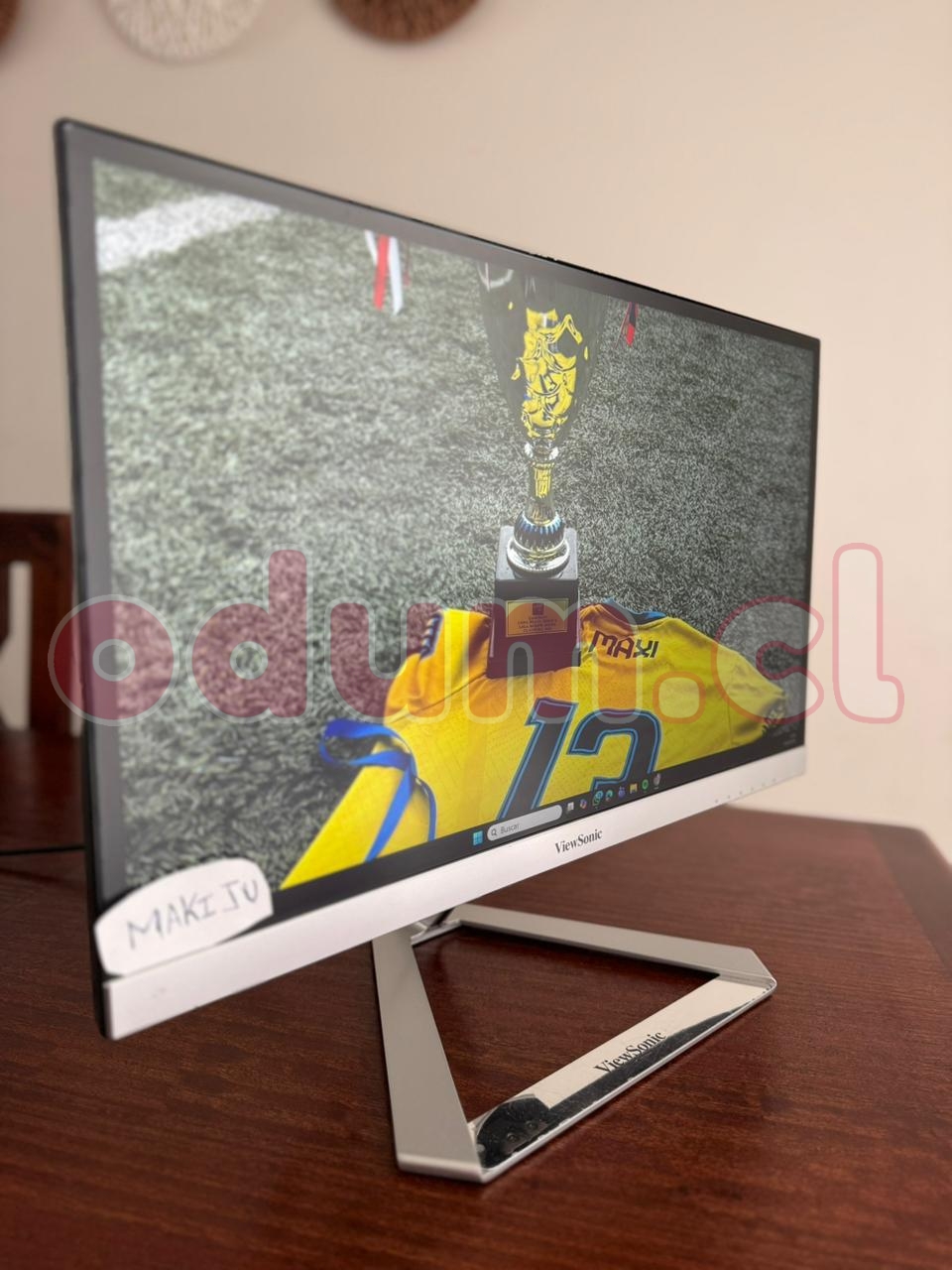 Foto VX Monitor 1.jpeg