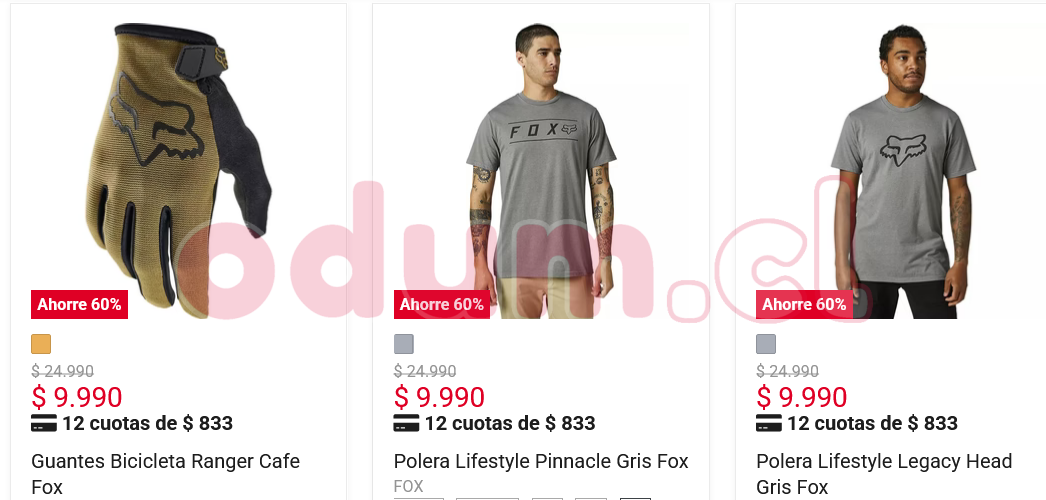 Screenshot 2025-10-08 at 16-39-02 Papitas — Trailstore.cl.png