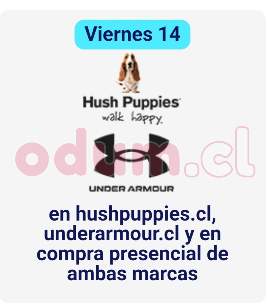 Screenshot_20240610-190047_Gmail.jpg
