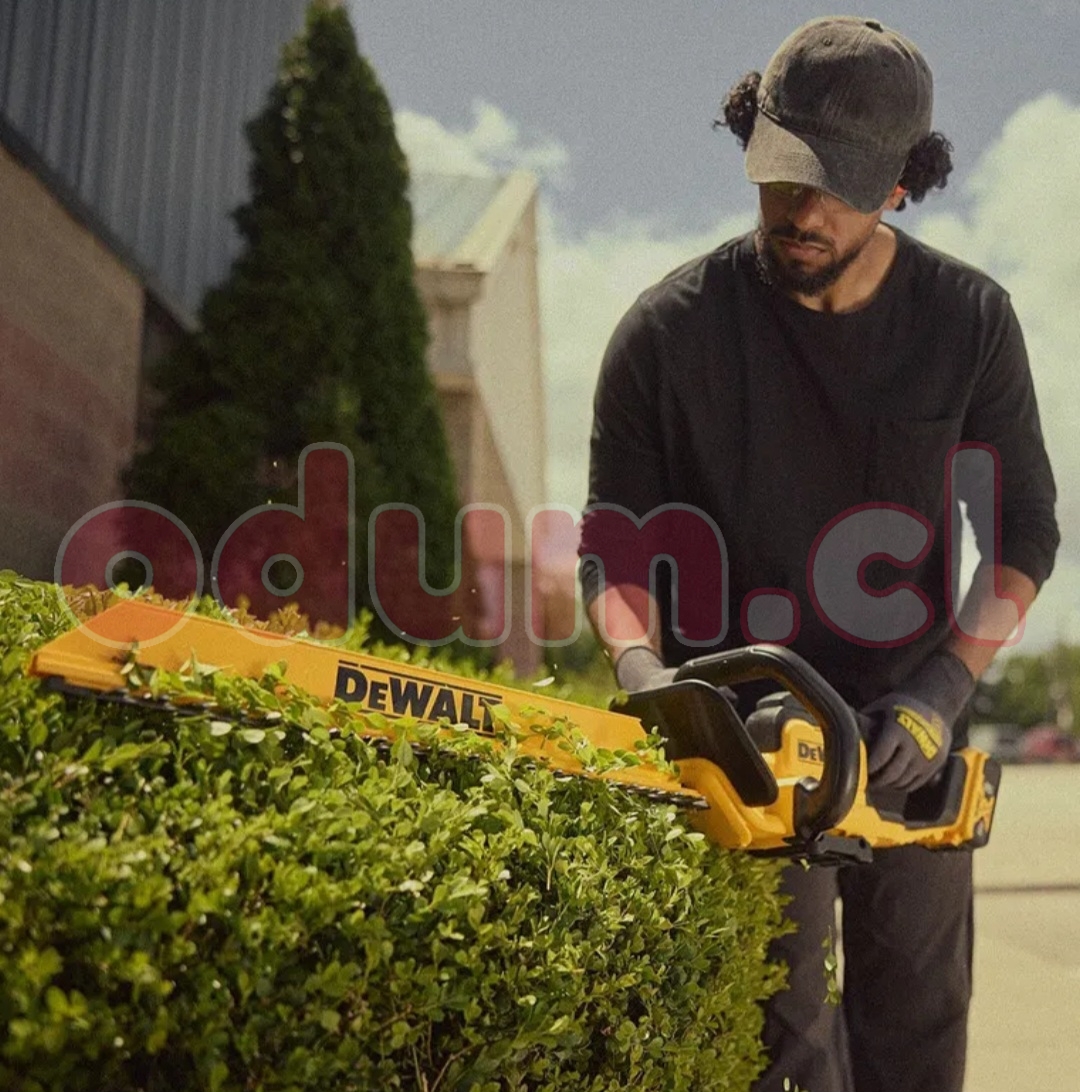 Screenshot_20260324_182650_Mercado Libre.jpg