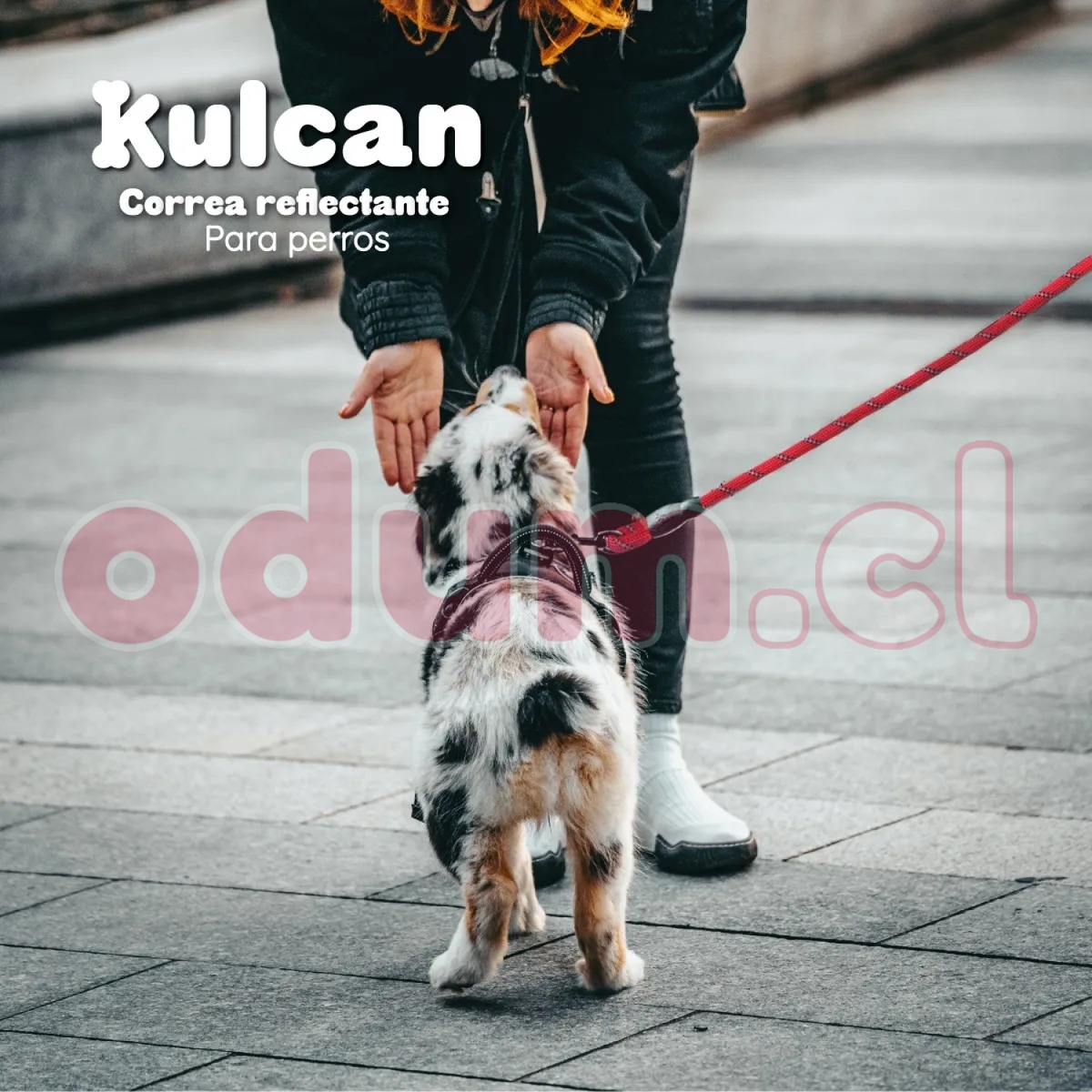 w1200,h1200,fitpad (1).jpg