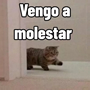 :gato14