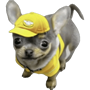 MercadoLibre :mercadolibre :mercadolibre