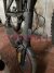 IMG_1439.jpeg