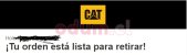 cat2.jpg
