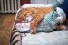 cat-sleeping-in-between-a-persons-feet_Vova-Shevchuk_Shutterstock.jpg