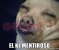 images (23).jpeg