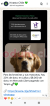 Screenshot_20251005-145607.png