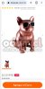 Screenshot_20220818-005657_Chrome.jpg