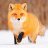 LittleFox