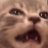 nimphuu